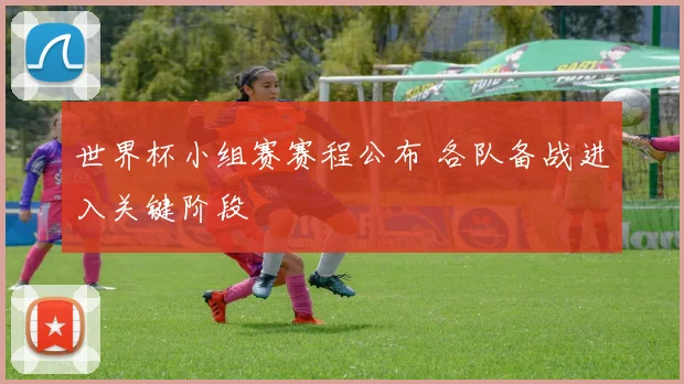 世界杯小组赛赛程公布 各队备战进入关键阶段