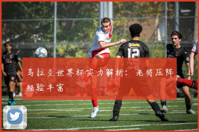 乌拉圭世界杯实力解析：老将压阵经验丰富