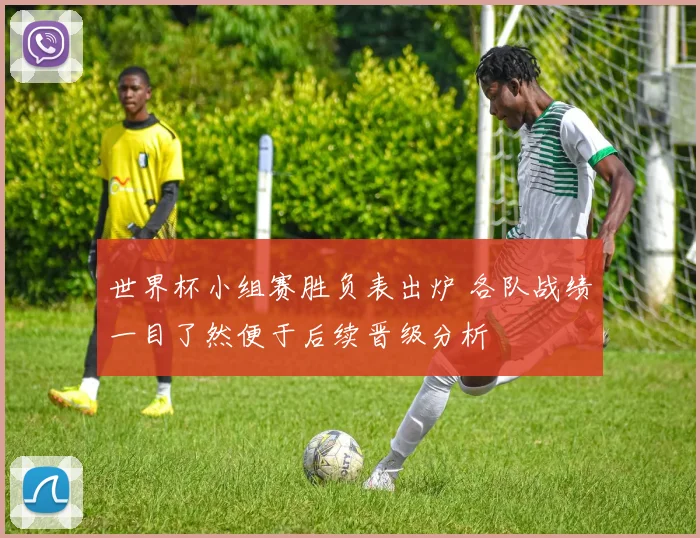 世界杯小组赛胜负表出炉 各队战绩一目了然便于后续晋级分析