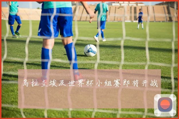乌拉圭埃及世界杯小组赛即将开战